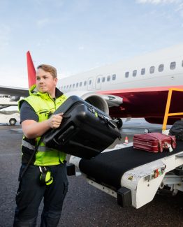 Mid adult male worker stacking bags on trailer at runway